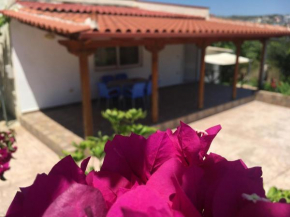 Guesthouse Nedin